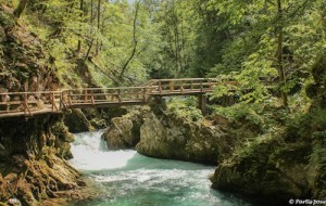 bled_avec_des_enfants_vingtar