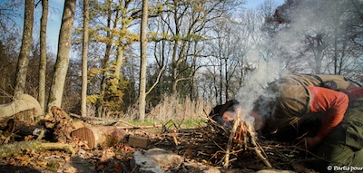 Dans les bois