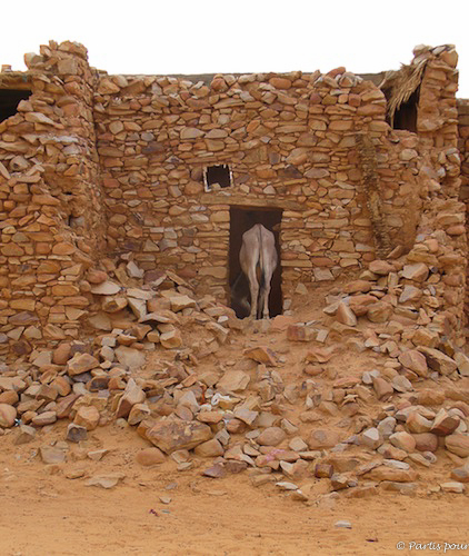 Dans les rues de Chinguetti, Mauritanie