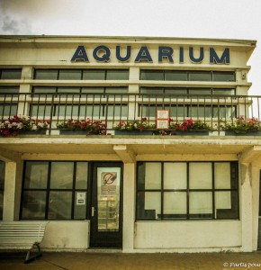 Aquarium d'Ostende