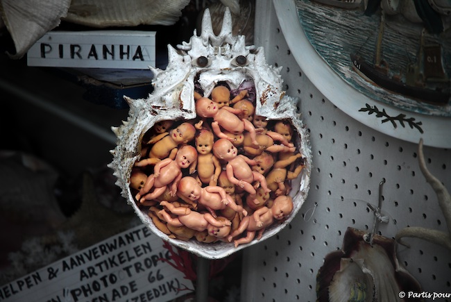 Vitrine d'une boutique à Ostende