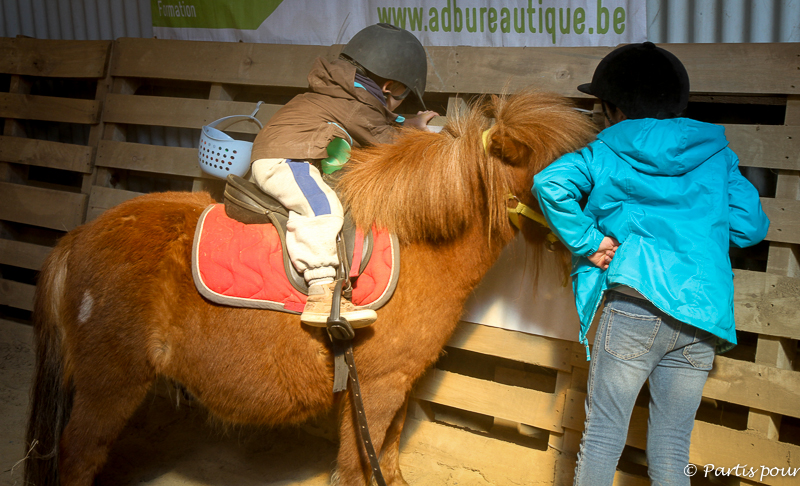 Stage Poneys Béemont Petits plaisirs avril