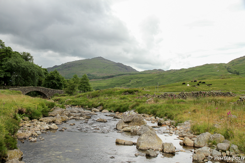 Lake District National Park, Royaume-Uni. Petits plaisirs d'été.