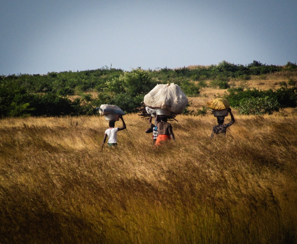 Dans les campagnes du Mali