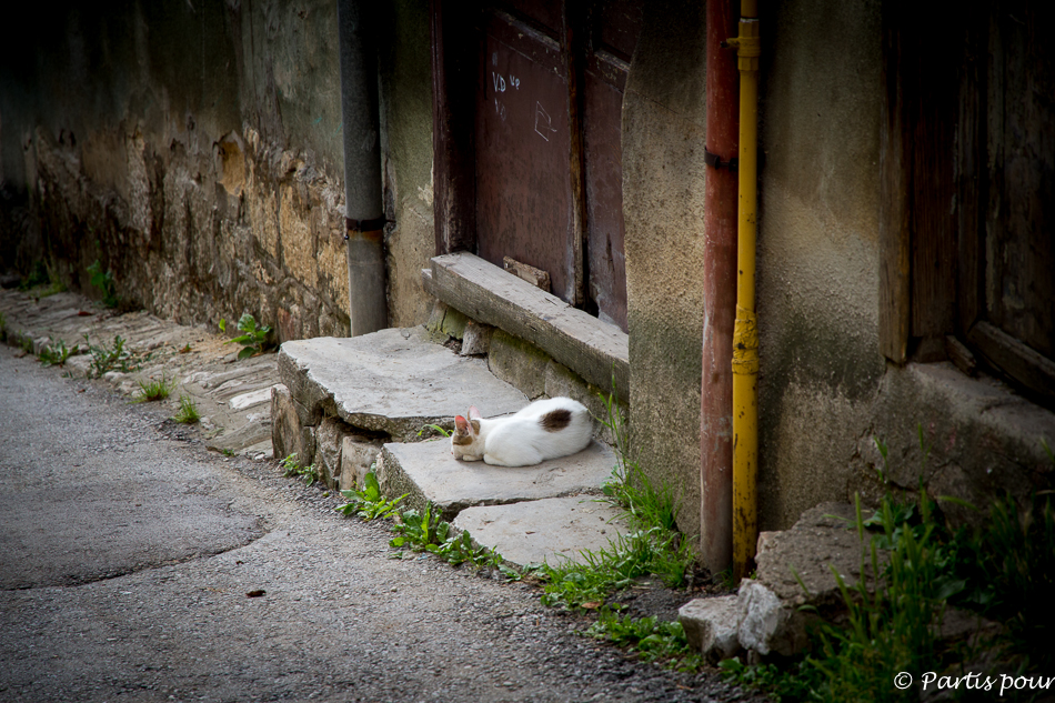 Dans les ruelles du Vieux Sarajevo. Découvrir Sarajevo avec un enfant