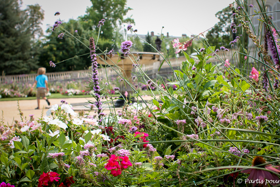 Bilan 2015. Dans le jardin de la mairie d'Epernay, France