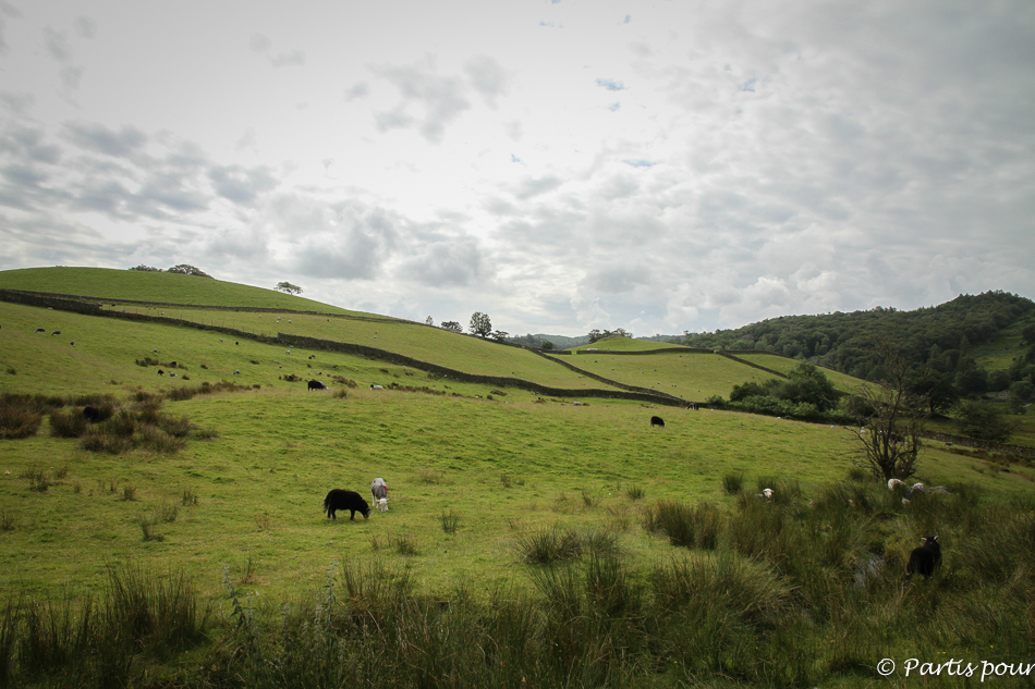 Bilan 2015. Lake District National Park, Angleterre