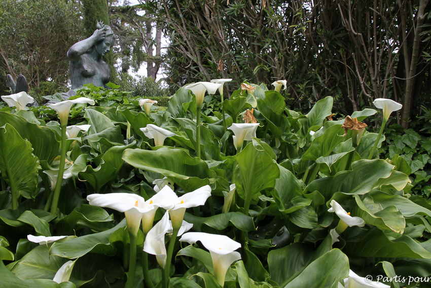 Bilan 2015. Jardin de Santa Clotilda, Lloret de Mar, Catalogne, Espagne