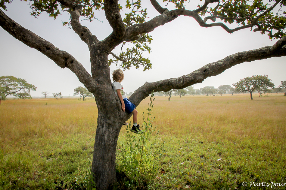 Bilan 2015. En rando vers la Pointe Sainte-Georges, Casamance, Sénégal