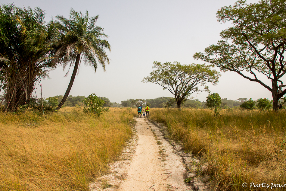 Itinéraire d’un voyage au Sénégal