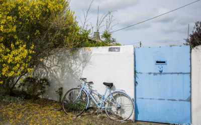 Sur l’île de Noirmoutier