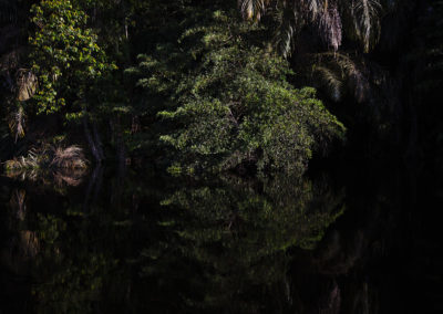 Parc national de la Salonga, République démocratique du Congo