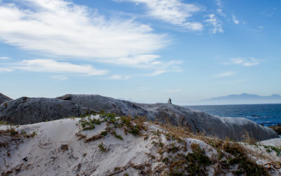 Simon’s Town, un train, un cap et des manchots