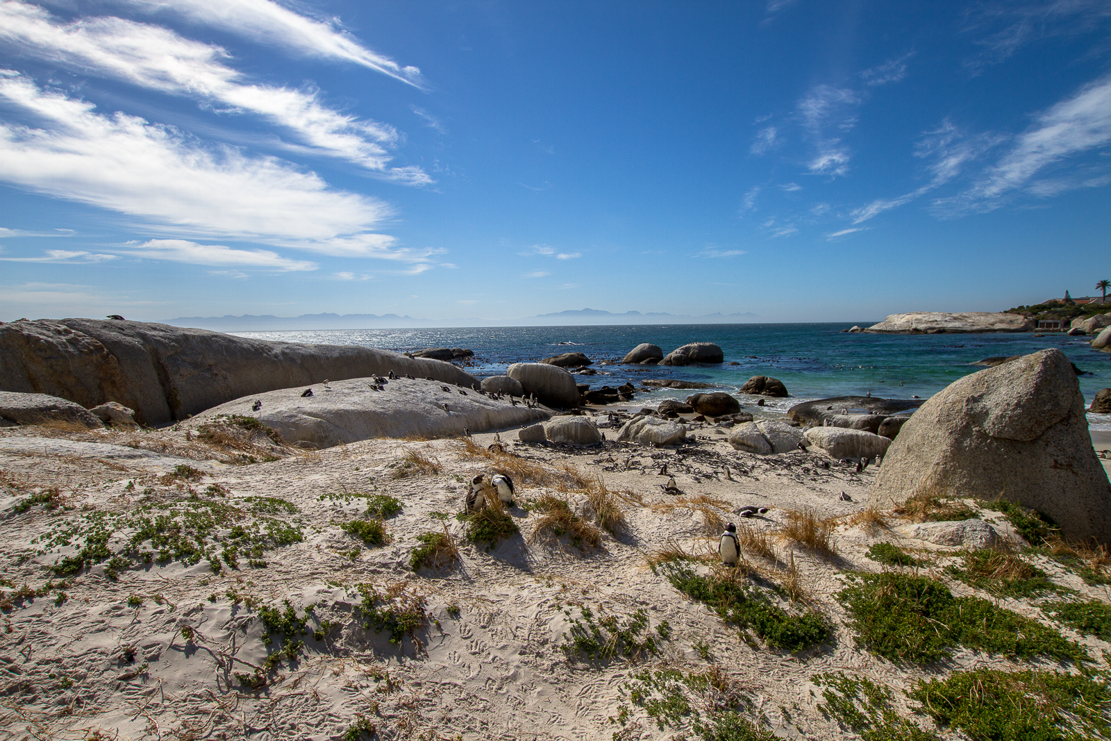 Boulders Beach, Simon's Town, Afrique du Sud - Partis pour