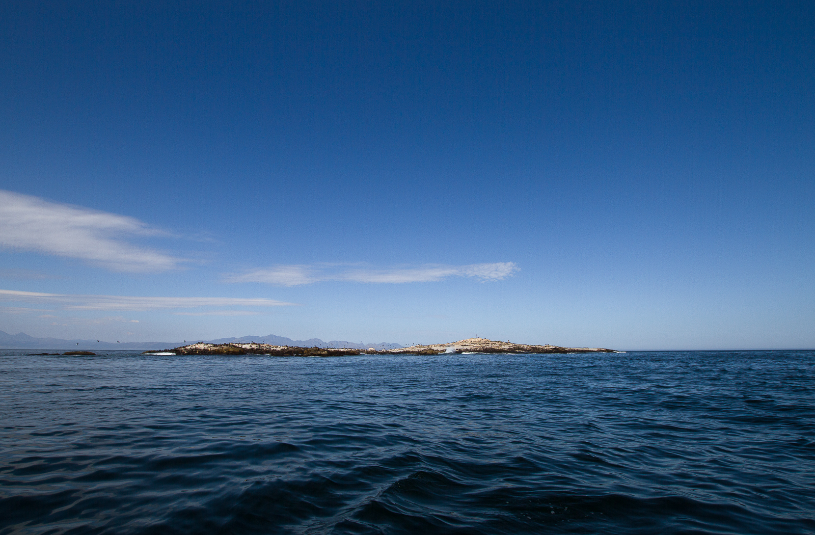 Seal Island, Simon's Town, Afrique du Sud - Partis Pour