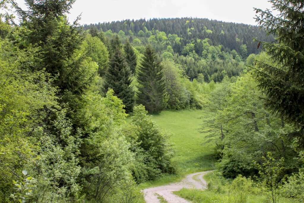 Vie-Camp_Zelenkovac_Bosnie_PartisPour-3 Autour du Camp Zelenkovac. Itinéraire d'un road trip en Bosnie avec un enfant. Partis Pour